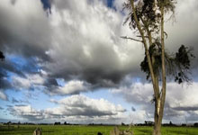 侯煜:得知广州队没能准入时很心痛,对广州队的感情永远在心里.