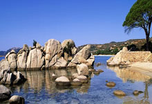 亿万28官网：[棋牌]乐弈场第45场周赛 付振坤马云波分获积分／实力榜冠军.